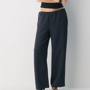 Aritzia Artisan Pants in Navy Blue